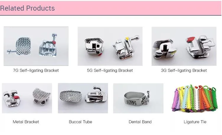 Dental Orthodontic Instruments in Cylinder Stainless Steel Arch Wires